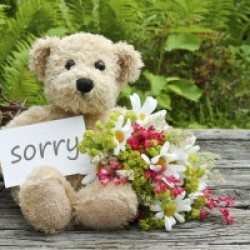 I Am Sorry Flowers