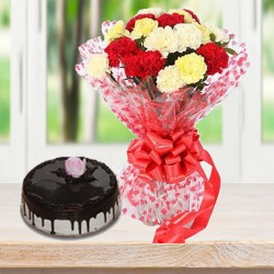 Mixed Carnations & Cake Combo