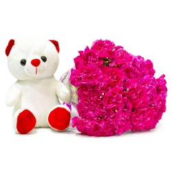 Pink Carnations With Teddy Bear