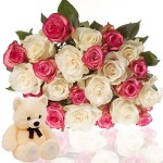 24 White Pink Roses With Teddy 